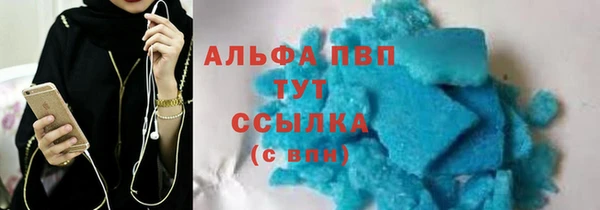 PSILOCYBIN Карталы