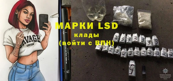 PSILOCYBIN Карталы