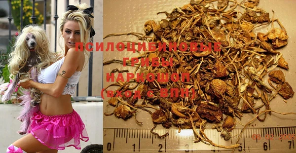 PSILOCYBIN Карталы
