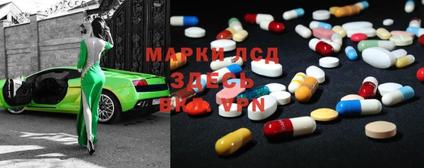 PSILOCYBIN Карталы